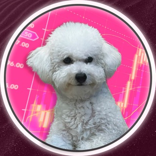 Логотип @koksik_mem_ton - 🐶 КОКСИК TON (CHANNEL)