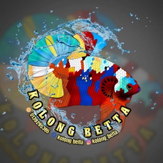 Логотип @kolong_betta - SABAH KOLONG BETTA ☪