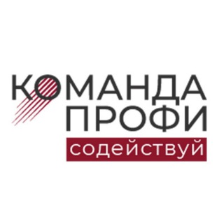Логотип @komandaprofi_rsm - Команда ПРОФИ | СоДействуй
