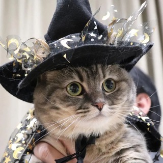 Логотип @komaru_gifki - Gifs with Komaru, Cocoa, Komugi, Panchan, Gomu