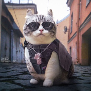 Логотип @komaruphotoshop - Photomaru