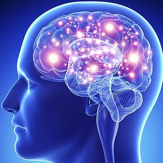 Логотип @kometauspexa - Его величество МОЗГ