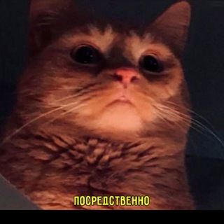 Логотип @komily677 - KomiLy