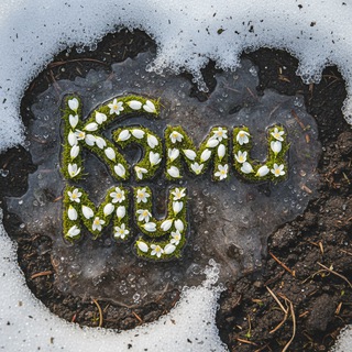 Логотип @komimuu - Коми му