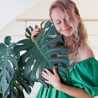 Логотип @komnatnyecvetyirasteniya - 🌿ЗЕЛЕНЫЙ ДИЗАЙН🌿цветы и растения