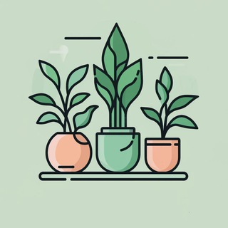 Логотип @komnatnyyetsvetyy - Комнатные цветы