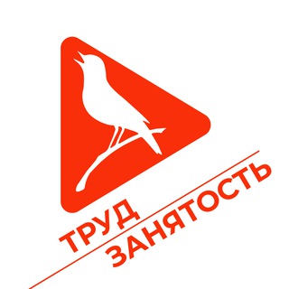 Логотип @komtrud46 - Труд и занятость в Курской области