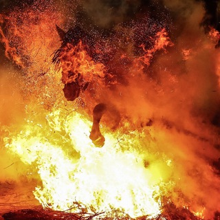 Логотип @konatus_say - КОНАТУС ВЕЩАЕТ