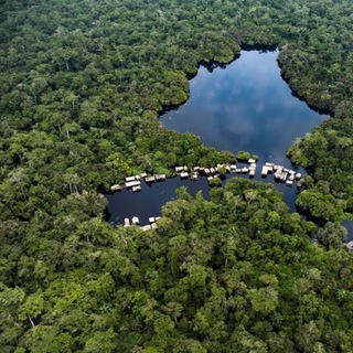 Логотип @kongobecken - Stoppt den Ökozid! Kongo-Becken erhalten! ❤️‍🔥 Stop the ecocide! Preserve the Congo Basin! ✊