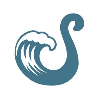 Логотип @konigsurfboardschat - Shushakov SURF LAB комментарии.