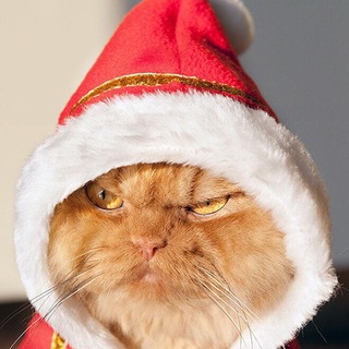 Логотип @konkursi123321 - ❤конкурсы❤️