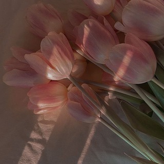 Логотип @konkyrsiotf - конкурсы от 𝙵𝙰𝙸 💗