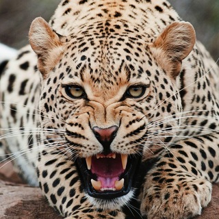 Логотип @konstantinaleksandrovich2 - Константин Александрович