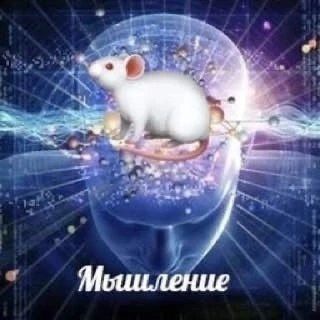 Логотип @kontentis - МыШление