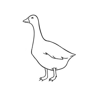 Логотип @konturgoose - контур гуся