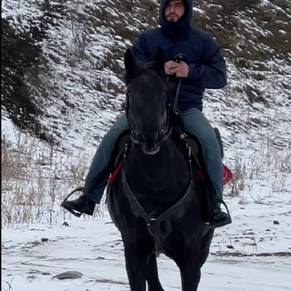 Логотип @konzavod_karachaevskiy168 - Konzavod_karachaevskiy168