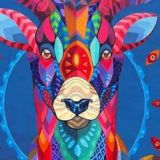 Логотип @koooookooooooo - Bitcoin. Обменник.