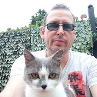 Логотип @korea_meow - KoreaMeow