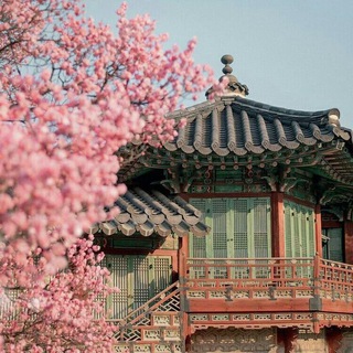 Логотип @korean_vcb - 🇰🇷• Все о Корее || корейский язык🇰🇷