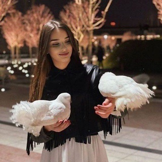 Логотип @koreanro9m - Ⓚ.Ⓞ.Ⓡ.Ⓔ.Ⓐ.Ⓝ. Ⓡ.Ⓞ.Ⓞ.Ⓜ