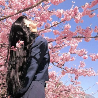 Логотип @koreanvigirl - 𓏲𓏲ᥴᥲд ᥴᥲκуρы 🌸