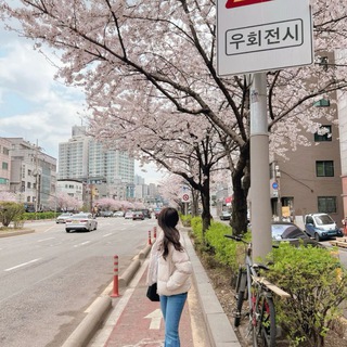 Логотип @koreasoi - Korea