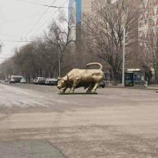 Логотип @korganbekovavibe - Korganbekova VIBE Chat