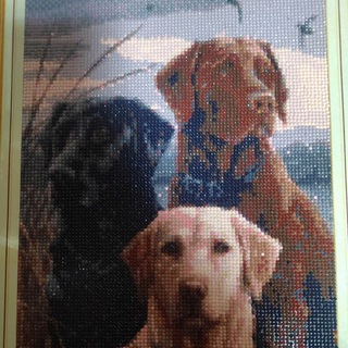 Логотип @kormadlyajivotnix - Корма для животных!