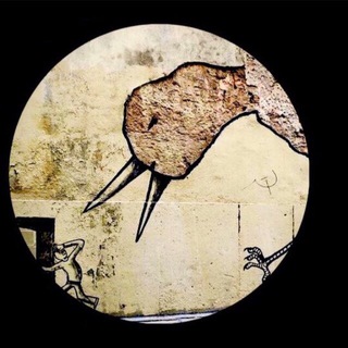 Логотип @korochev - На птичьих правах