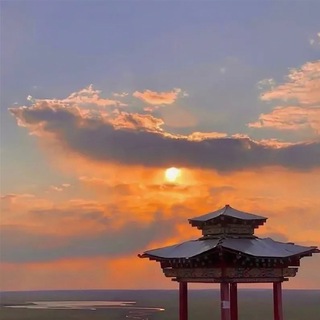 Логотип @koronavirus_08 - ТГ КАЛМЫКИИ