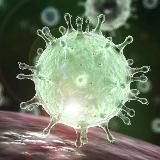 Логотип @koronvircov - КОРОНАВИРУС НОВОСТИ ONLINE