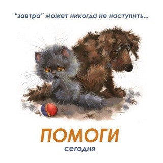 Логотип @korsakov65 - Помощь животным