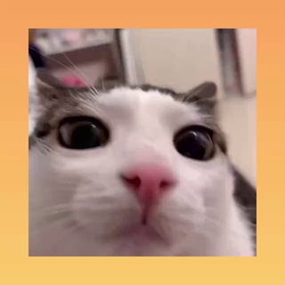 Логотип @korzhikrobux - 0