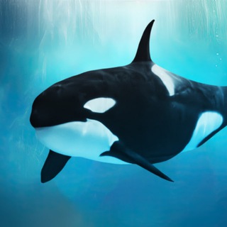 Логотип @kosatka_naya - Косатка Ная