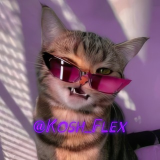 Логотип @kosh_flex - кошачий флекс