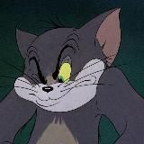 Кошачьи лапки | Резиденция Любви ❤️‍🔥