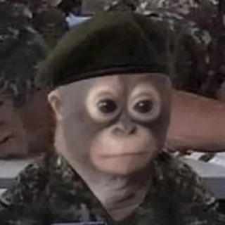 Логотип @koshachyabacyla - Кошачья Бацыла