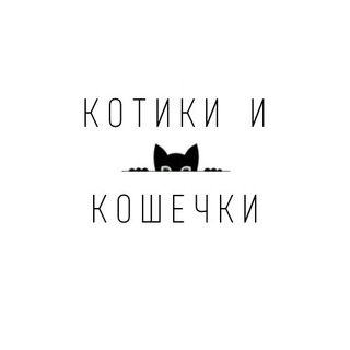 Логотип @koshechka_kotik - КОТИКИ И КОШЕЧКИ