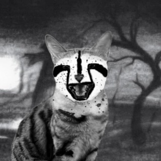 Логотип @koshka_meme - кошька
