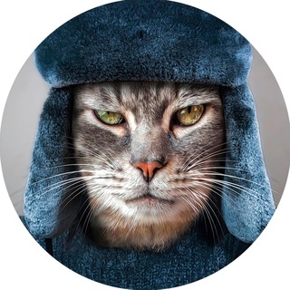 Логотип @koshkin_sibir - Кошкин Сибиряк 2.0