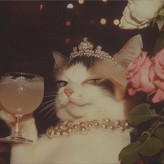 Логотип @koshkinalena - Koshkina Lena