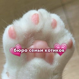 Логотип @koshkosemya - 🌱Бюро Семьи Котиков🌱 | 𝐆𝐞𝐧𝐬𝐡𝐢𝐧𝐃𝐫𝐨𝐩