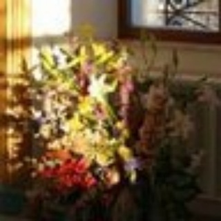 Логотип @kosmadam - совсем не официальный канал