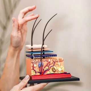 Логотип @kosmetologliteratura - Литература для Косметологов