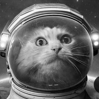 Логотип @kosmosmemchat - ЧАТ / В космосе никто не услышит твой смех