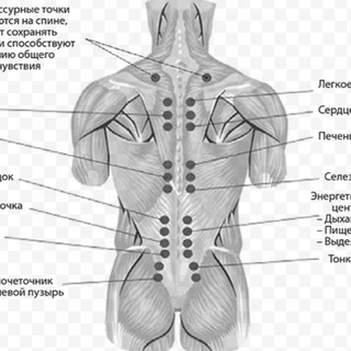 Логотип @kostopravstv - kostoprav26