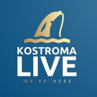 Логотип @kostroma_live44 - Кострома лайв