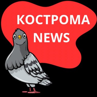 Логотип @kostroma_news44 - Кострома_NEWS