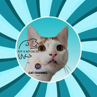 Логотип @kot_cat_channel_meow - Кот в Котовске 🐈
