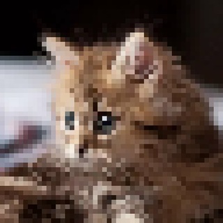 Логотип @kot_meme - Мемы с котиками